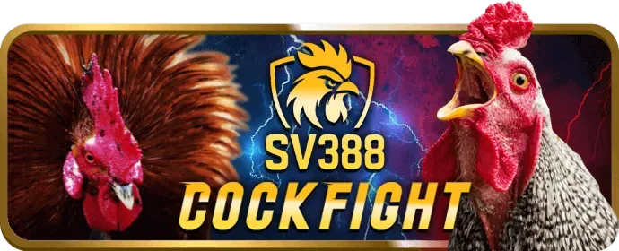 Người chơi bet69 App áp dụng mẹo nâng cao để chiến thắng